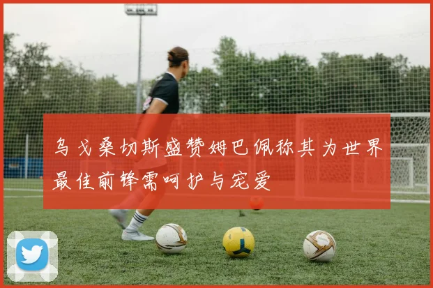 乌戈桑切斯盛赞姆巴佩称其为世界最佳前锋需呵护与宠爱