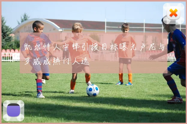 凯尔特人中锋引援目标曝光卢尼与罗威成热门人选
