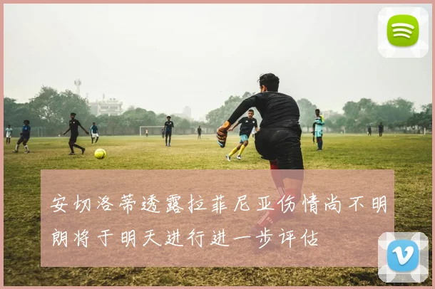 安切洛蒂透露拉菲尼亚伤情尚不明朗将于明天进行进一步评估