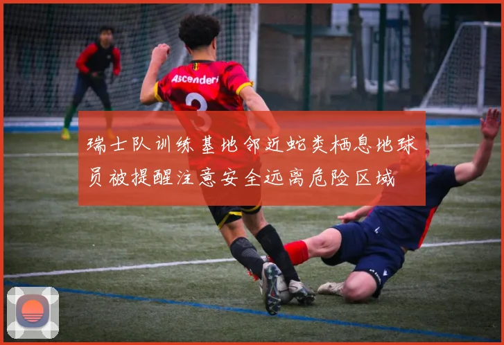 瑞士队训练基地邻近蛇类栖息地球员被提醒注意安全远离危险区域